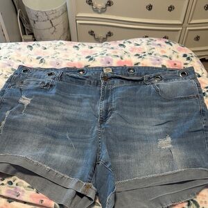 True Craft Distressed Blue Jean Shorts